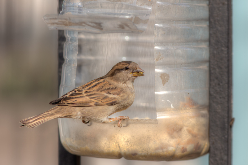 Eco-Efficient Work Environments: Techniques for Lessening Office Waste