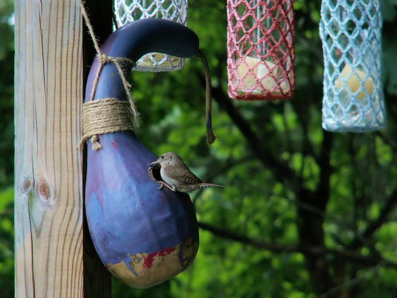 The Surprising Truths About Glass Recycling